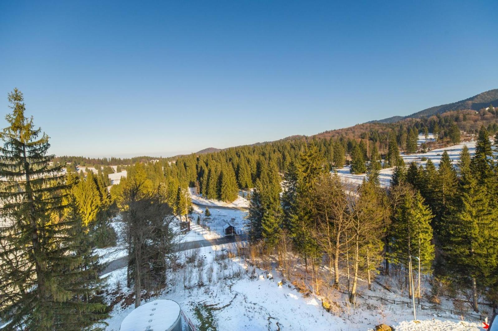 Pine Woods Apartment A28 In Silver Mountain Poiana Brasov Exterior photo